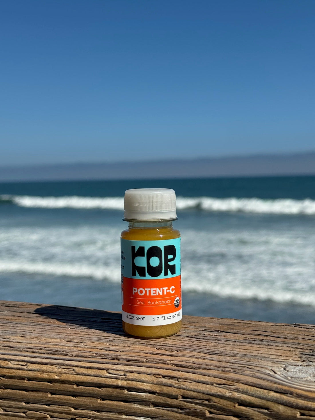 Sea Buckthorn Berry Benefits: Why This Ancient Superfood Is Trending in Modern Wellness
