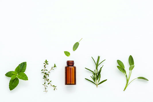 glass bottle with herbs on a white background