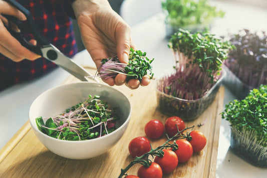 hands trimming micro greens in a kitchen over a wooden chopping block