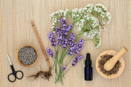 lavender and valarian root herbs with scissors 