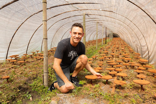 Let's Take a Sec to Learn about Cordyceps with Mushroom Expert Skye Chilton